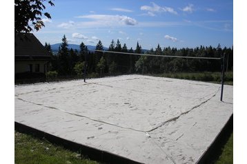 Pensiune familială Vacov 5